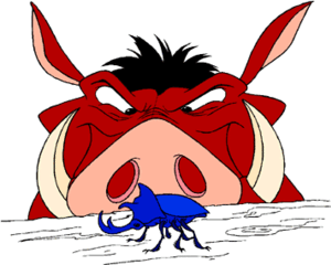 Obrazek